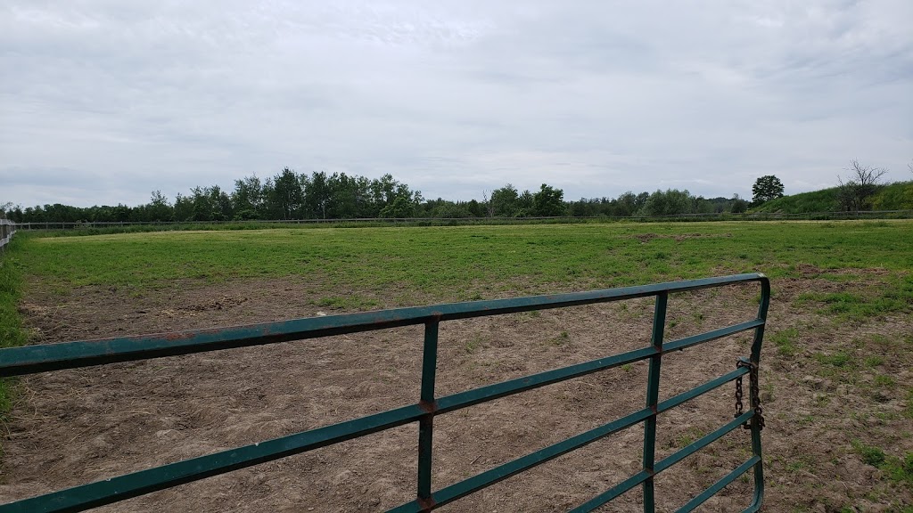 Roberts Equine Stables | 4006 ON-6, Puslinch, ON N0B 2J0, Canada | Phone: (905) 961-2404