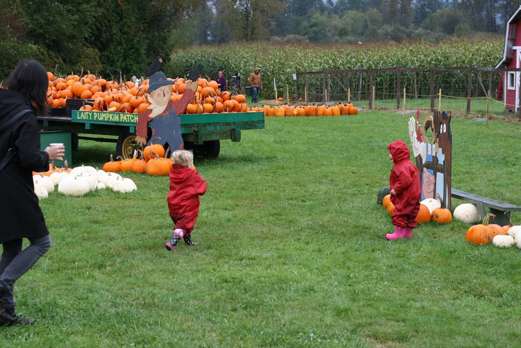 Academics preKindergarten Westwood | 1123 Westwood St suite 501, Coquitlam, BC V3B 4S4, Canada | Phone: (604) 474-2662