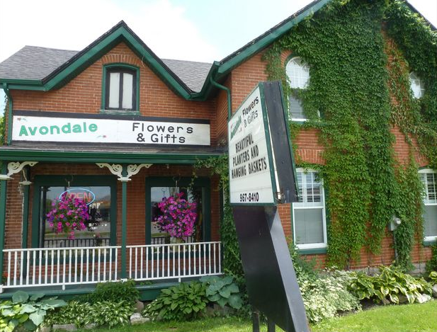 Avondale Flower & Gifts | 443 Dundas St W, Belleville, ON K8P 1B6, Canada | Phone: (613) 967-8410