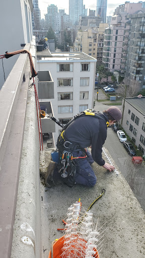 Solutions Pest Control | 6460 Toad Hollow, Whistler, BC V8E 0C5, Canada | Phone: (604) 905-0040