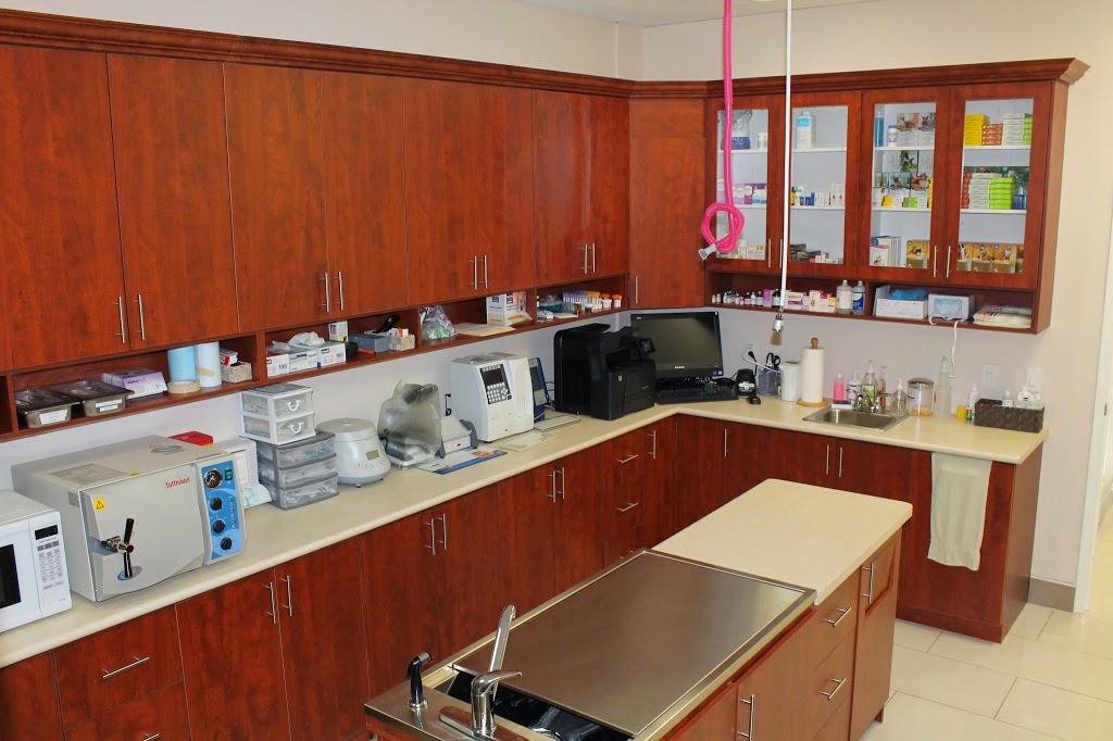 Eglinton Mavis Veterinary Hospital Mississauga | 5025 Heatherleigh Ave #5, Mississauga, ON L5V 2Y7, Canada | Phone: (905) 501-8387