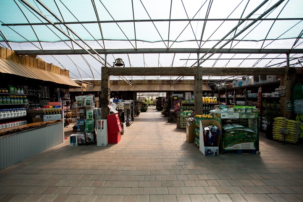 Cedar Rim Nursery Ltd | 7024 Glover Rd, Langley Twp, BC V2Y 2R1, Canada | Phone: (604) 888-4491