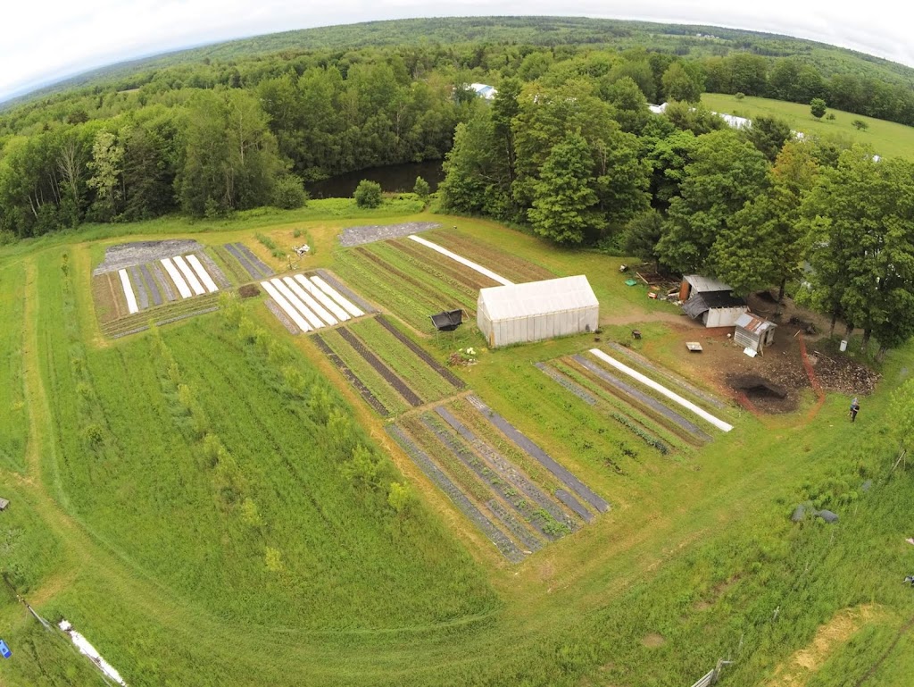 Fruits N Roots Farm | 21 Maple Ln, Newport, NS B0N 2A0, Canada | Phone: (902) 306-7529
