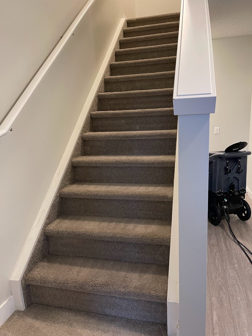 Carpet Plus Cleaning | 2229 Casey Cres SW, Edmonton, AB T6W 3M6, Canada | Phone: (780) 807-0908