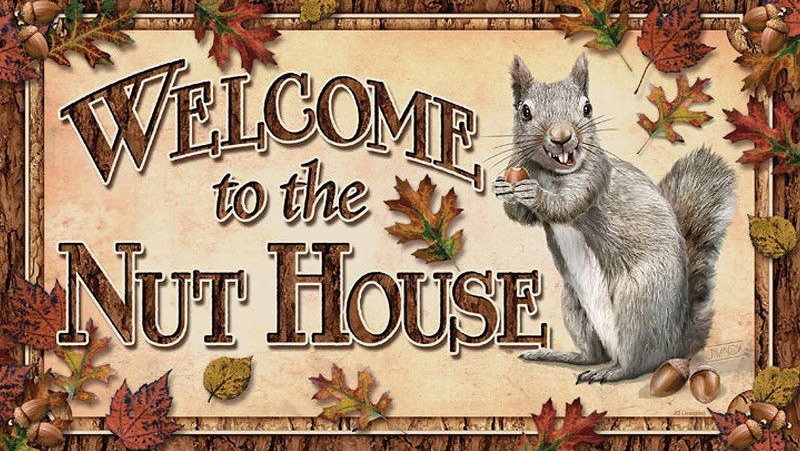 Nuthouse | 2340 23 St NW, Calgary, AB T2M 3X9, Canada | Phone: (403) 246-2686