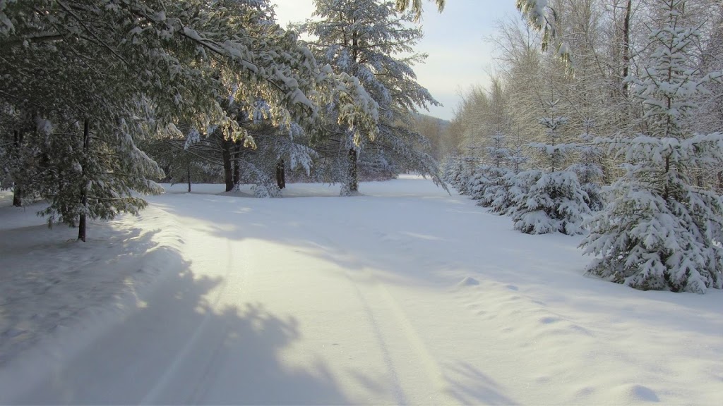 Camping Domaine Yamaska | 45 Rue de Soulanges, Bromont, QC J2L 1S4, Canada | Phone: (450) 919-1400
