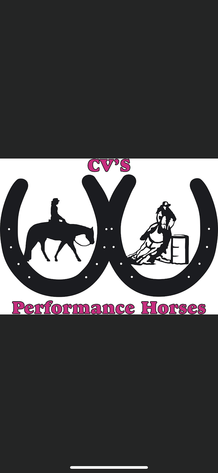 CVs Performance Horses | 4180 Willy Bill Rd, Apple Hill, ON K0C 1B0, Canada | Phone: (613) 577-2878