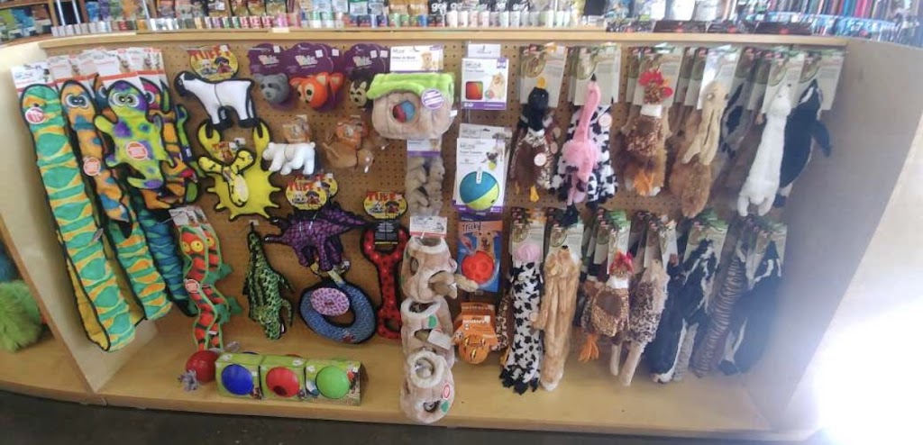 Pet Planet Currents of Windermere | 5148 Windermere Blvd, Edmonton, AB T6W 0L9, Canada | Phone: (780) 433-1266