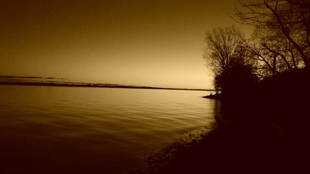 Picnic Area | 5747-5825 Main Street Bath, Odessa, ON K0H 2H0, Canada