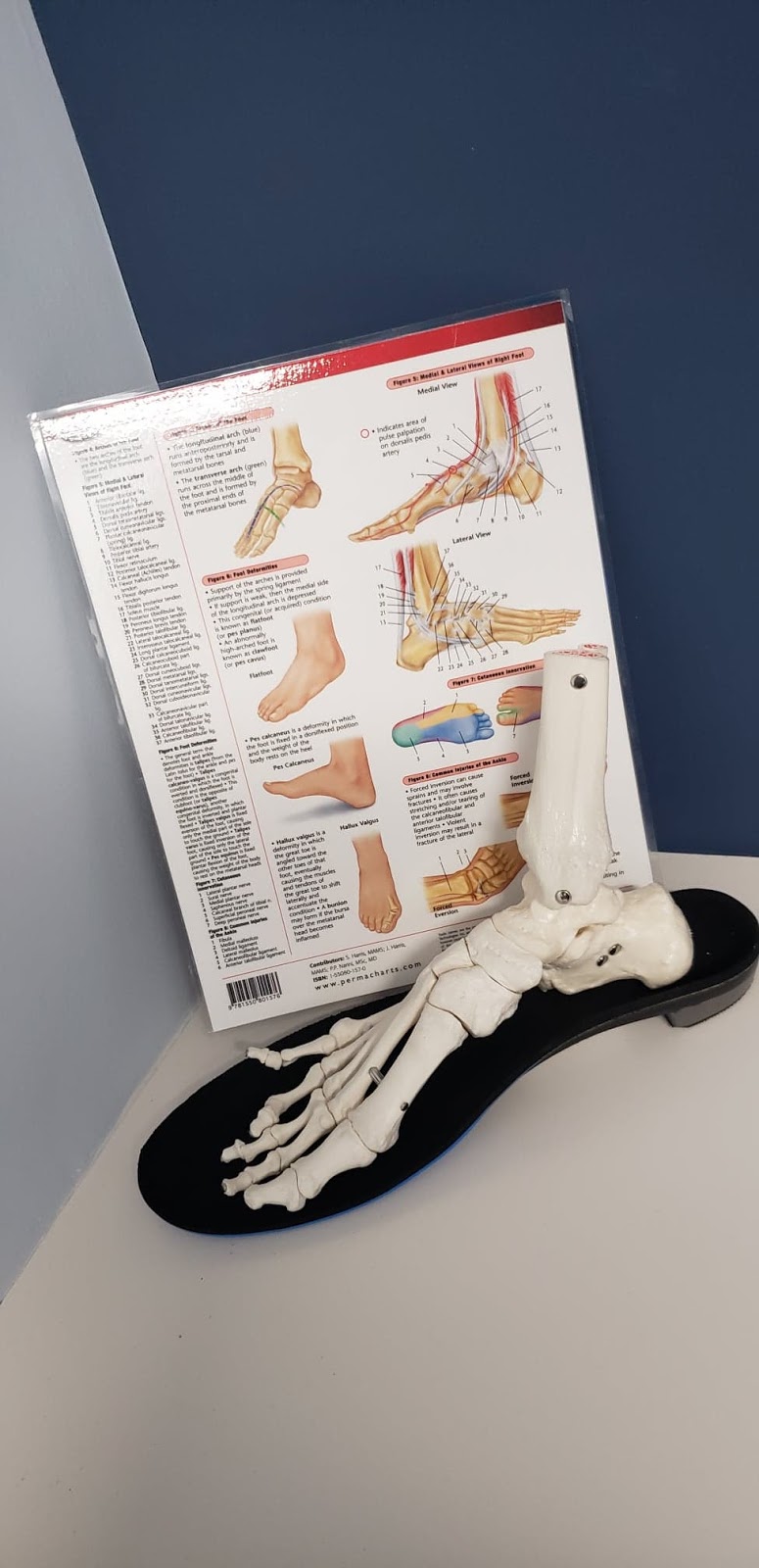 Halton Foot & Orthotic Clinic | 1235 Trafalgar Rd Suite# 400, Oakville, ON L6H 3P1, Canada | Phone: (289) 837-1611
