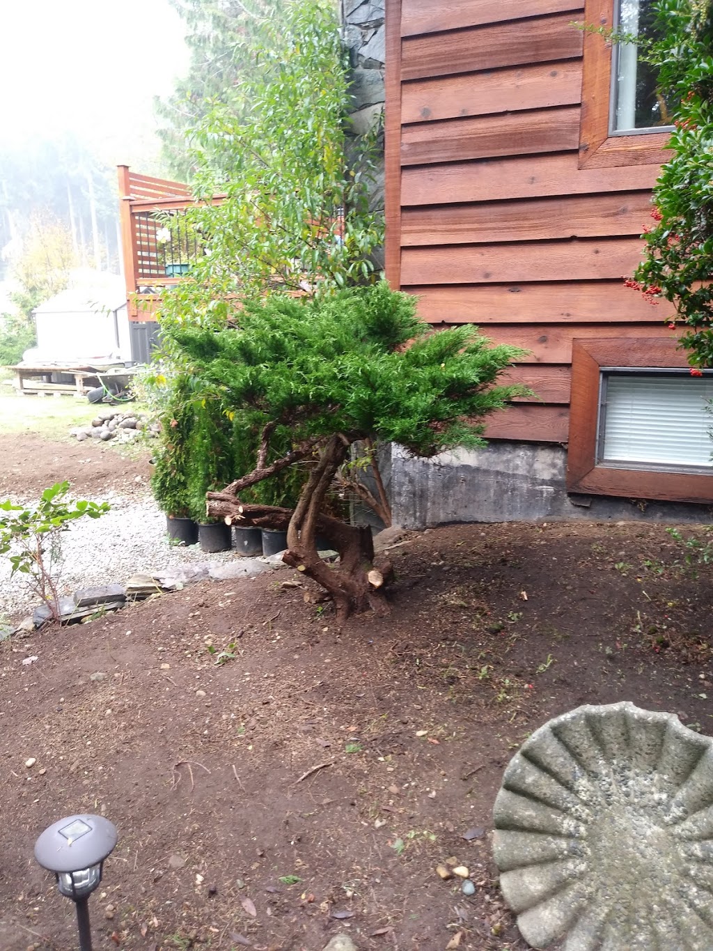 JJB Yard Maintenance | 6796 Beaton Rd, Sooke, BC V9Z 0M2, Canada | Phone: (778) 922-1608