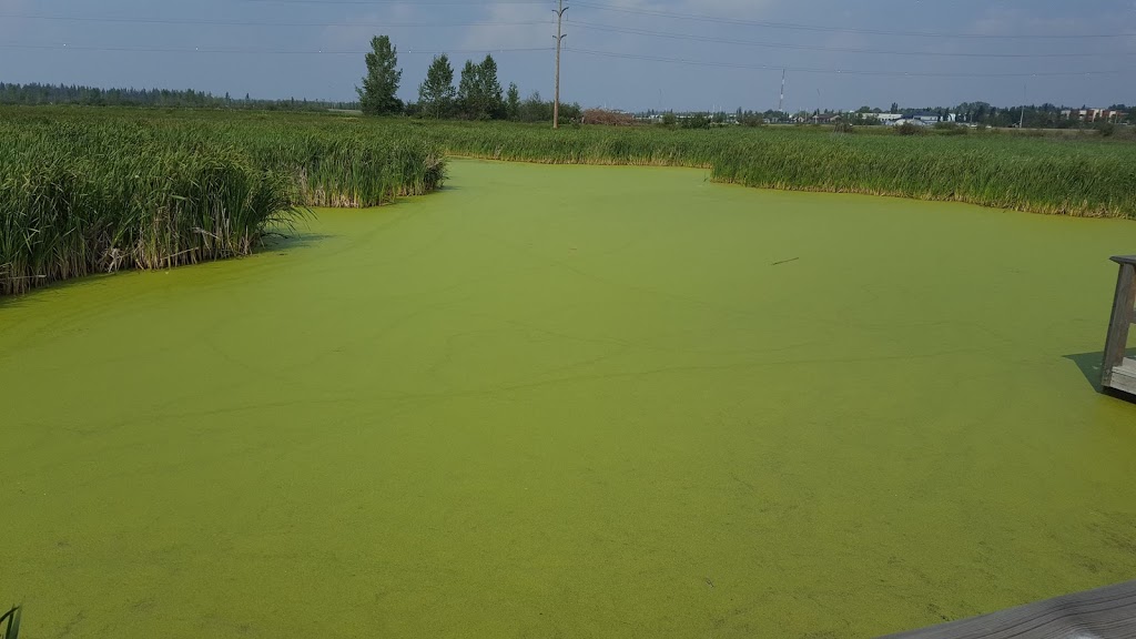 John E. Poole Wetlands | Unnamed Road, St. Albert, AB T5V, Canada
