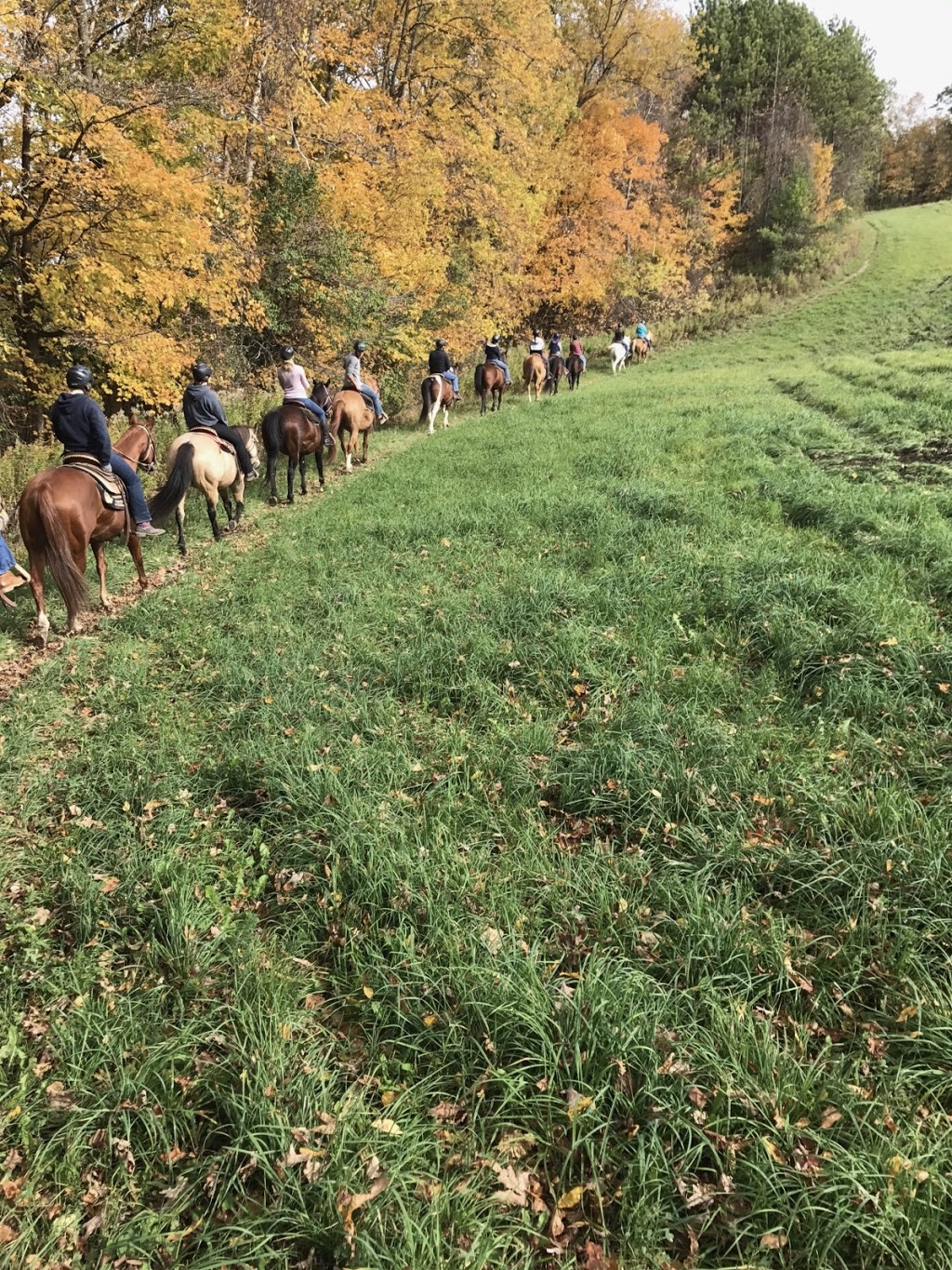 Trickle Creek Farms | 5723 10th Line, Millbrook, ON L0A 1G0, Canada | Phone: (705) 872-8286