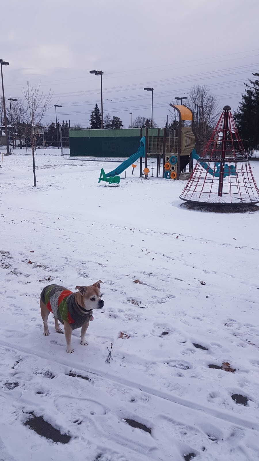 Bob Mitchell Park | 58 Fieldrow St, Nepean, ON K2G 2Y7, Canada | Phone: (613) 580-2595