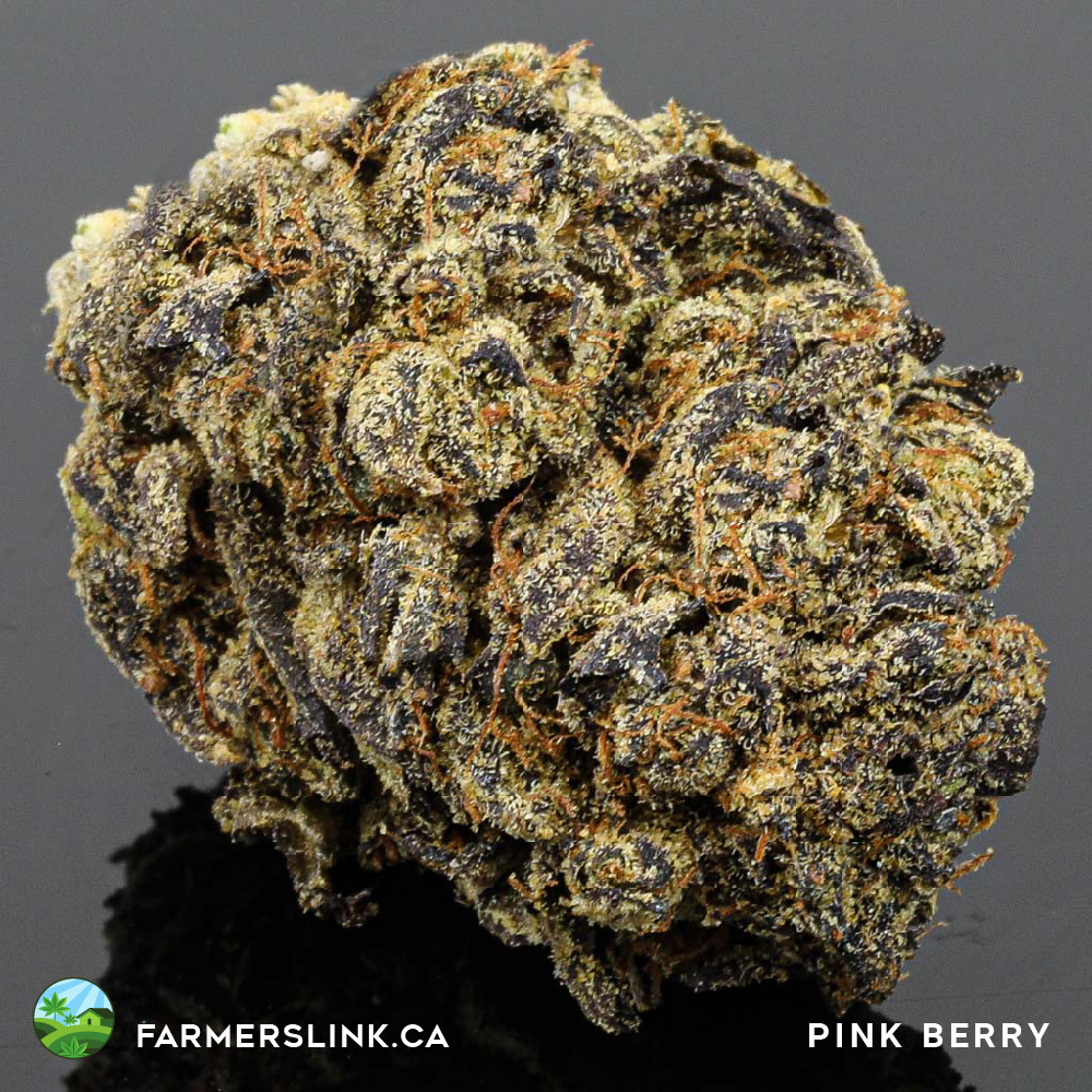 Farmers Link | Toronto West Dispensary | 463 Vaughan Rd, York, ON M6C 2P3, Canada | Phone: (647) 868-8888