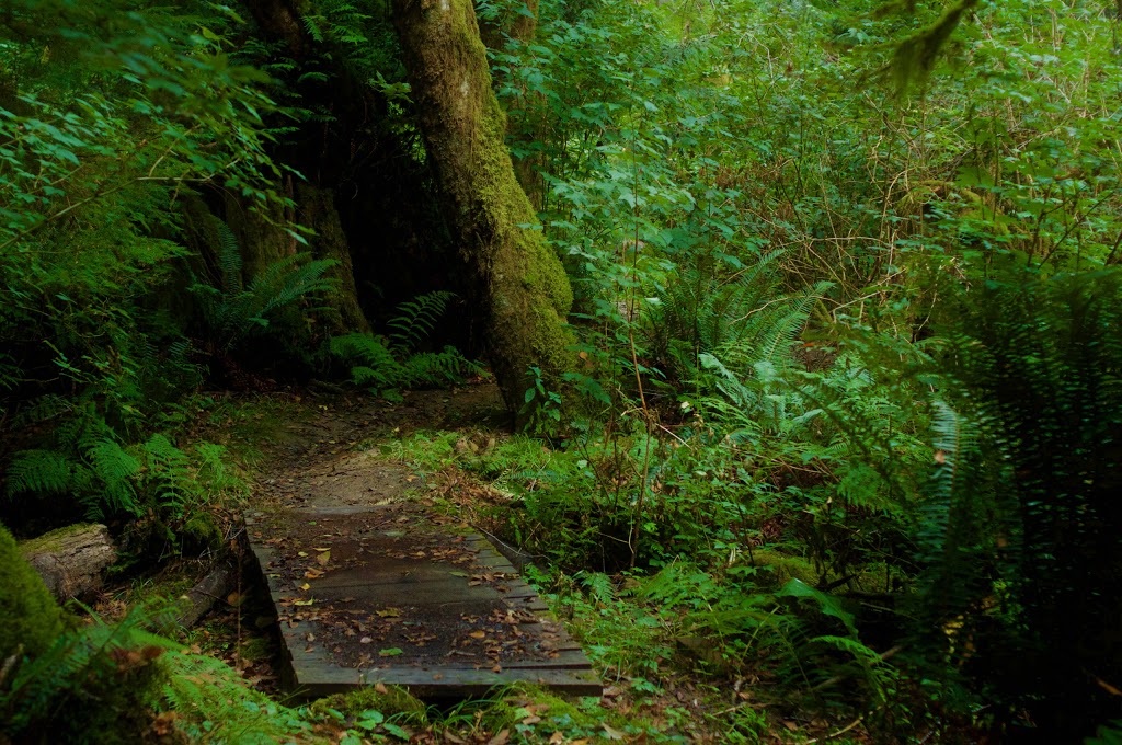 The Salt Spring Centre of Yoga | 355 Blackburn Rd, Salt Spring Island, BC V8K 2B8, Canada | Phone: (250) 537-2326