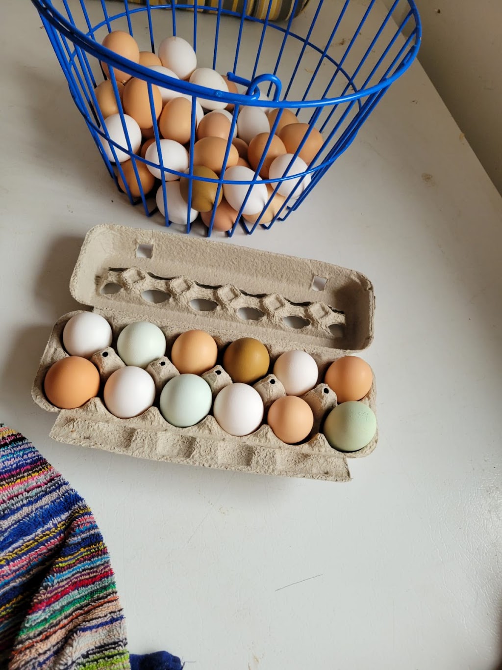 Rosenglitter Care Farm | 8061 2 Line, Arthur, ON N0G 1A0, Canada | Phone: (519) 831-6423