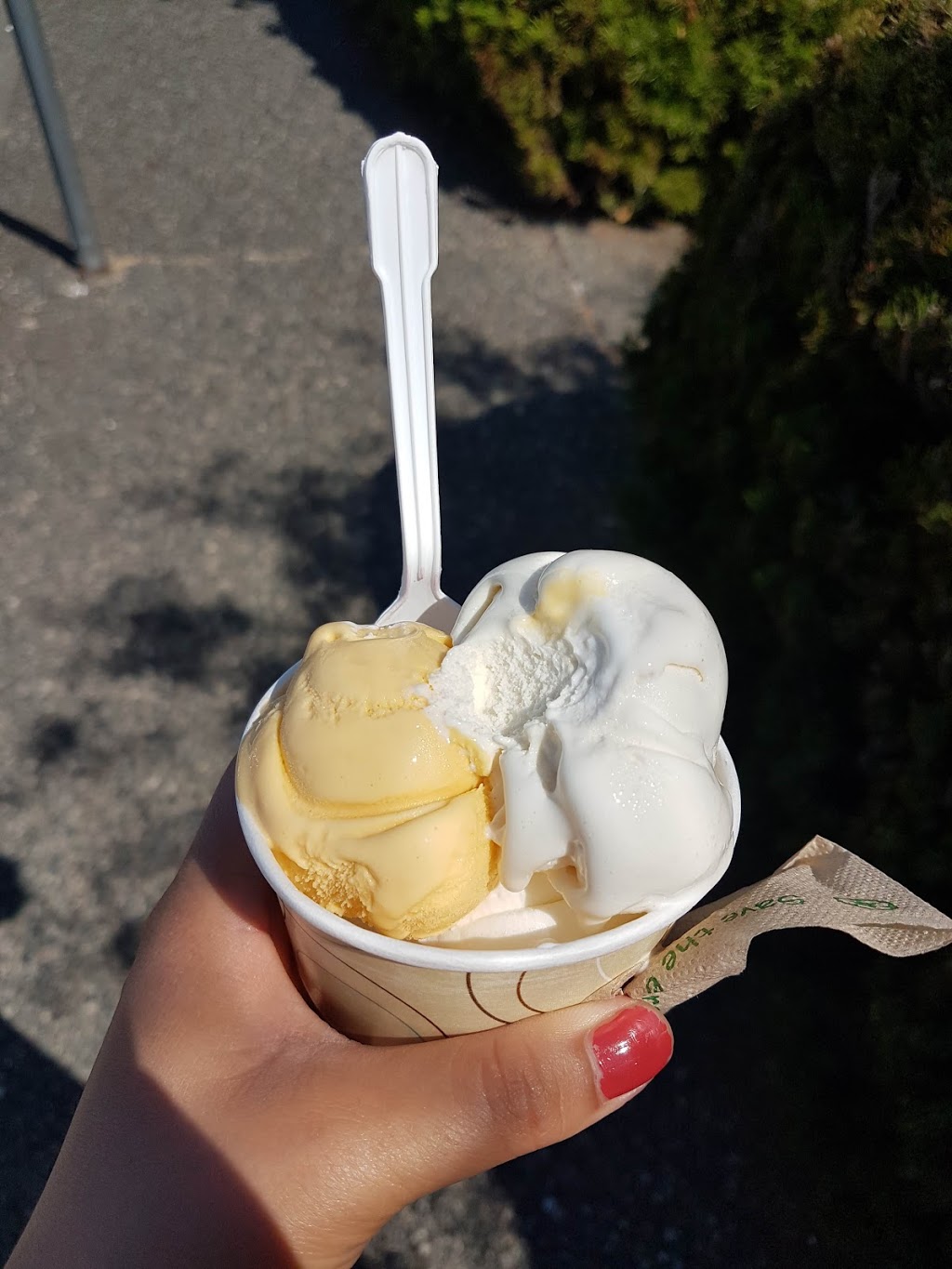 Timothys Frozen Yogurt Ltd | 3800 Bayview St, Richmond, BC V7E 5W3, Canada | Phone: (604) 275-7547