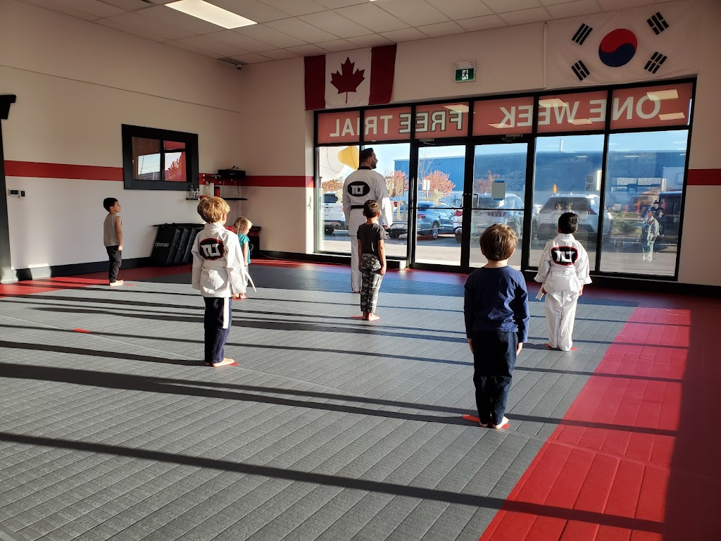 Top Level Taekwondo & Martial Arts Academy Cambridge | 1655 Bishop St N Unit 101, 102, Cambridge, ON N1R 8B5, Canada | Phone: (519) 623-9596