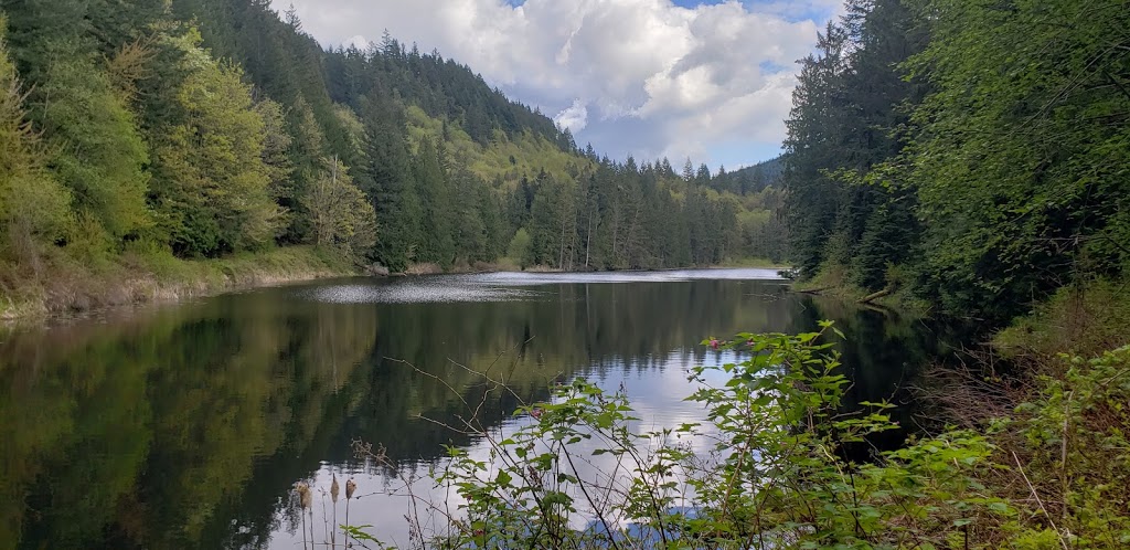 Squires Lake Trail Parking | 170 Old Hwy 99 N, Bellingham, WA 98229, USA
