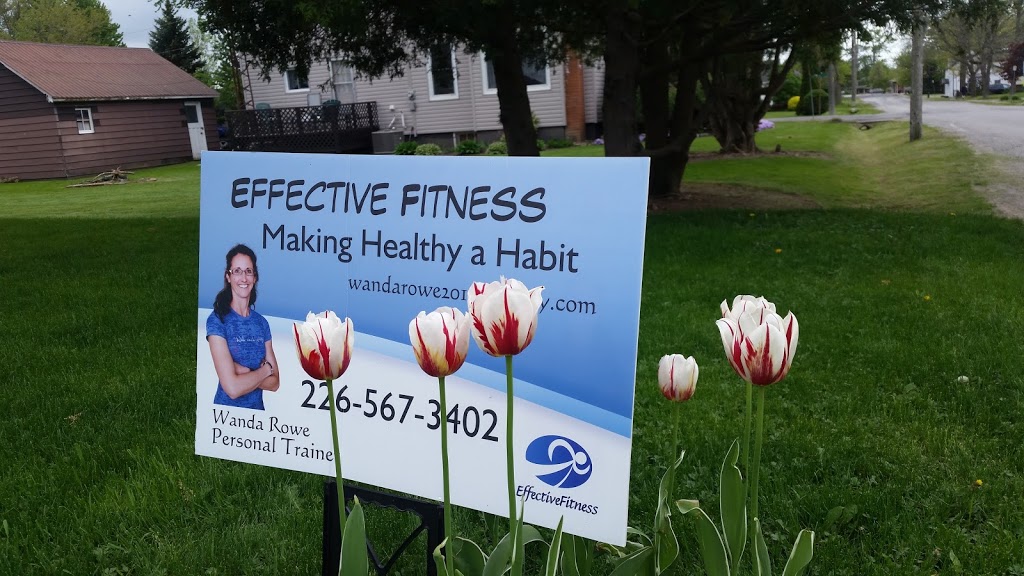 Effective Fitness | 40 Monson St, Jarvis, ON N0A 1J0, Canada | Phone: (226) 567-3402