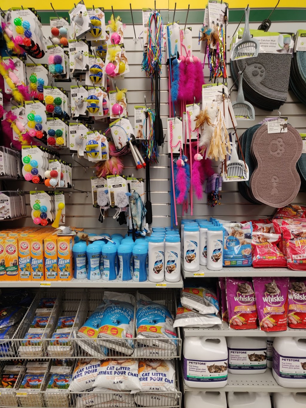 dollarama cat litter