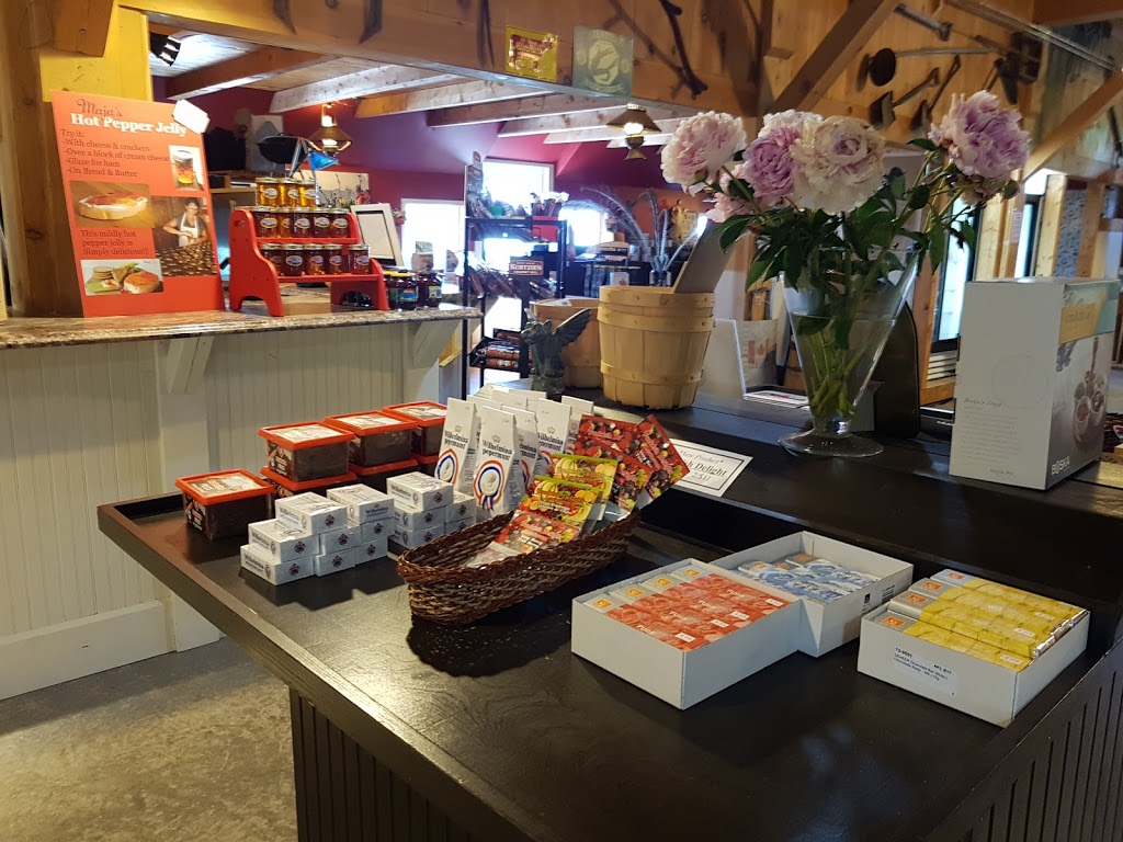 That Dutchmans Cheese Farm | 132 Brown Rd, Economy, NS B0M 1J0, Canada | Phone: (902) 647-2751