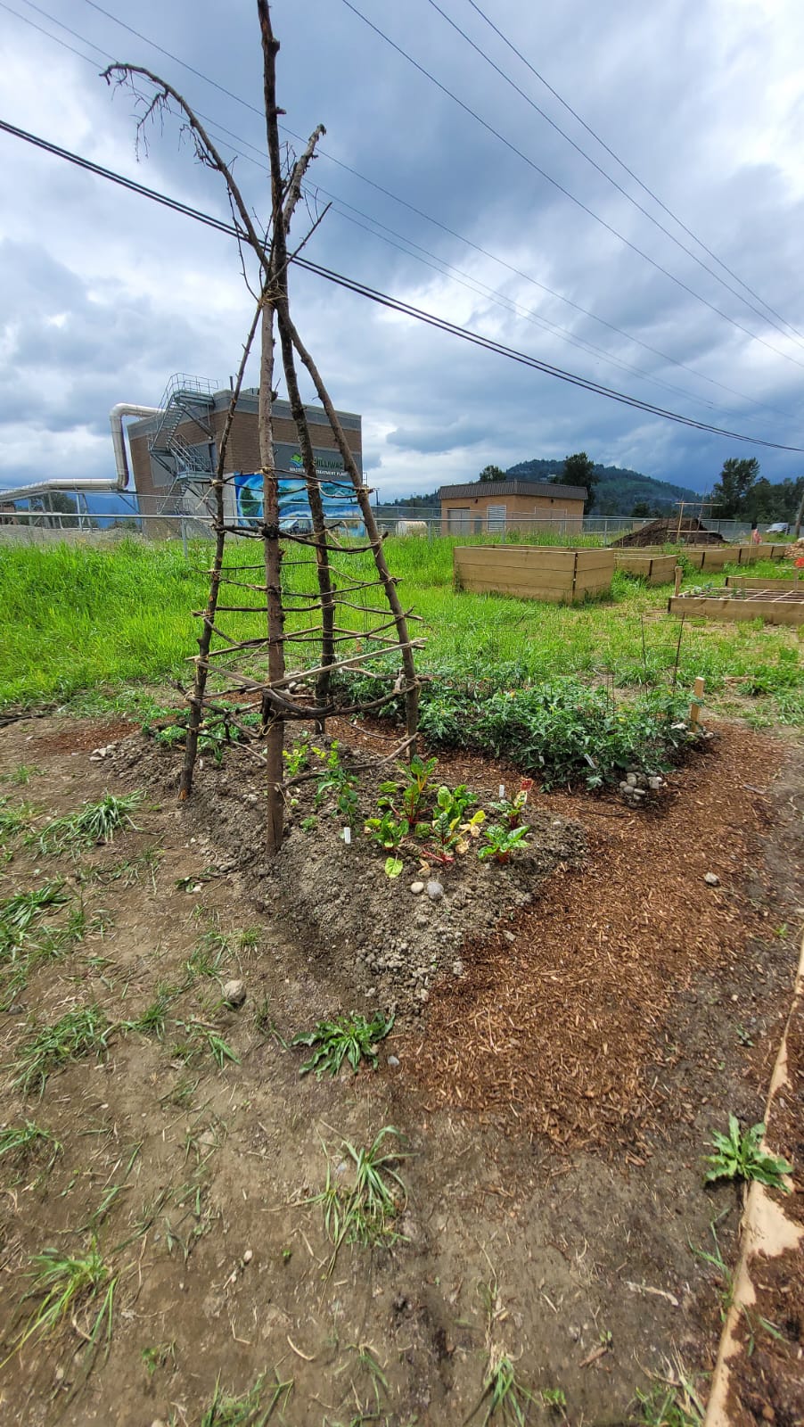 Community Roots Garden | 44825 Wolfe Rd, Chilliwack, BC V2P 8A8, Canada | Phone: (604) 701-4944