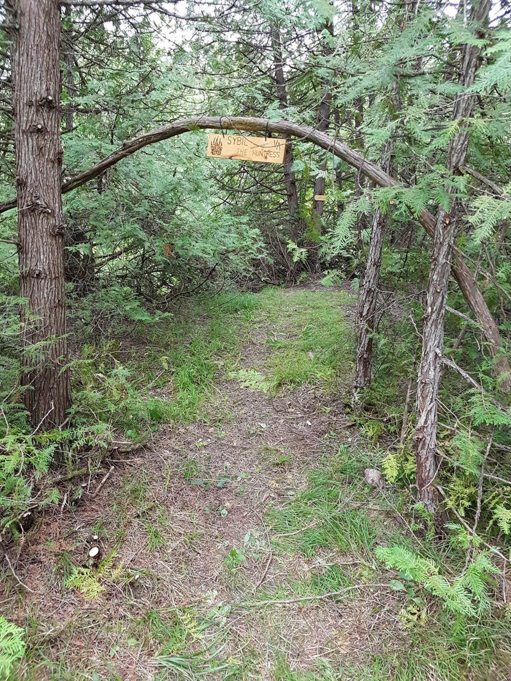 Underworld LARP | 36 Walkers Rd, Fenelon Falls, ON K0M 1N0, Canada | Phone: (416) 346-4523