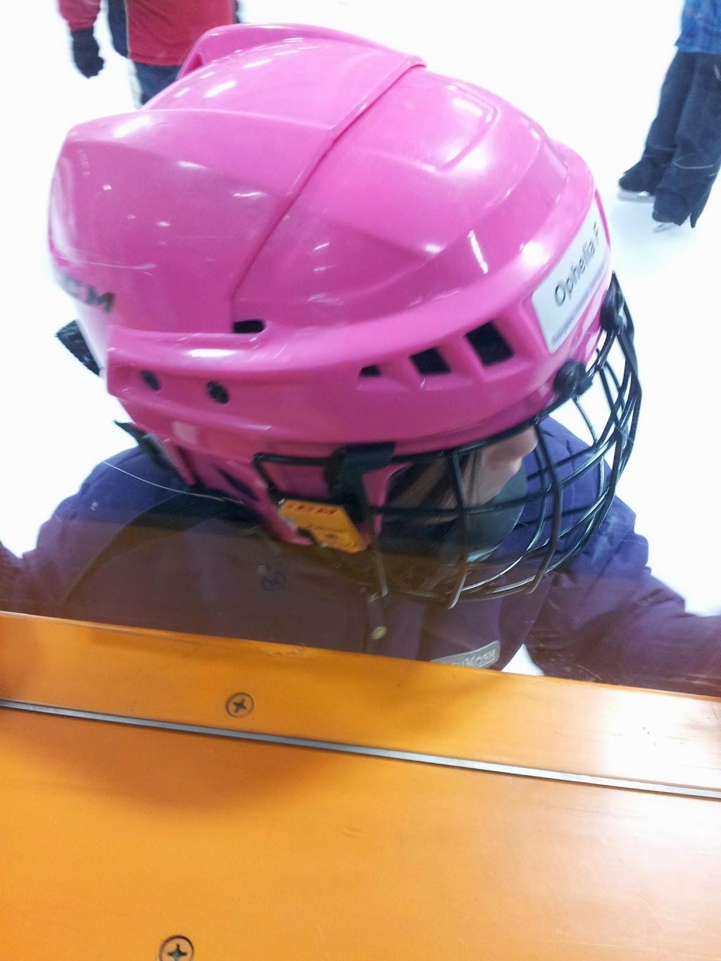 Barbara Ann Scott Arena | 2250 Torquay Ave, Ottawa, ON K2C 1J3, Canada | Phone: (613) 828-3118