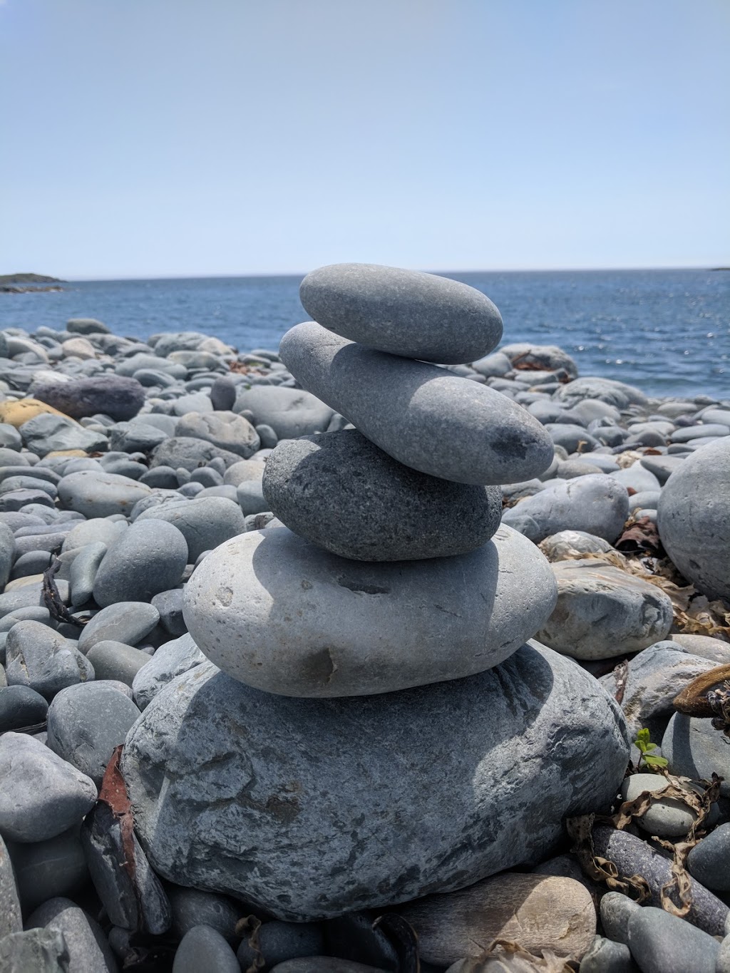 Colony of Avalon Foundation | 1 The Pool, Ferryland, NL A0A 2H0, Canada | Phone: (709) 432-3200
