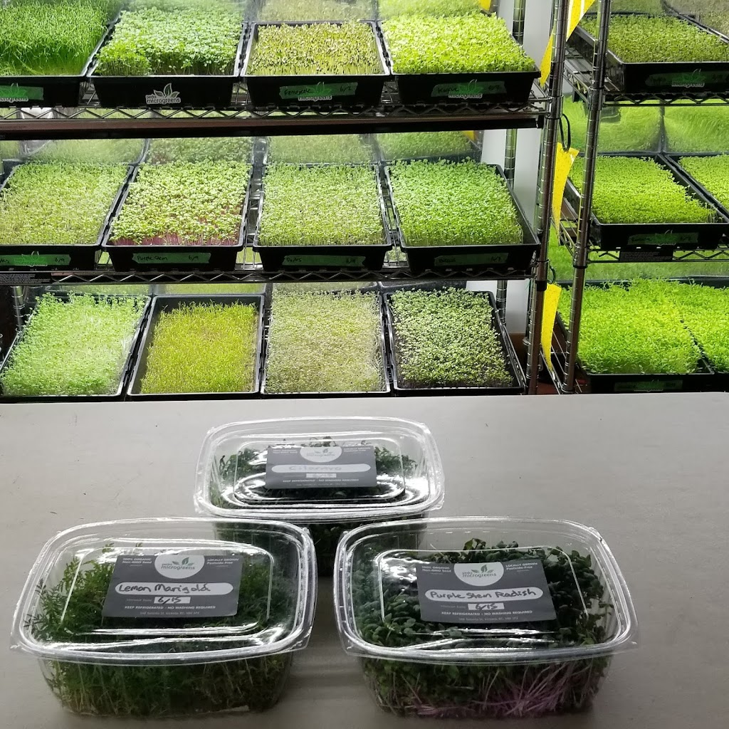 Perks Microgreens | 5872 Sycamore St, Duncan, BC V9L 3E4, Canada | Phone: (250) 216-2877