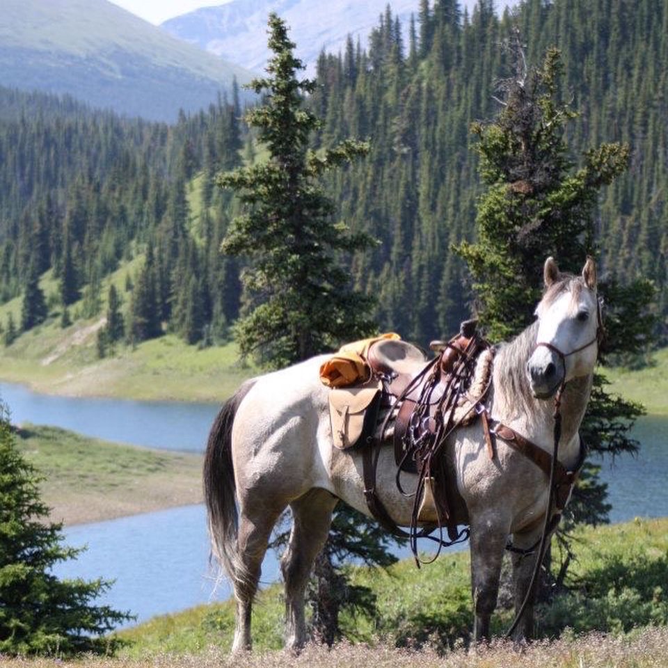 Ram River Tours - Ram Rides | AB-734, Nordegg, AB T0M 2H0, Canada | Phone: (403) 844-0408