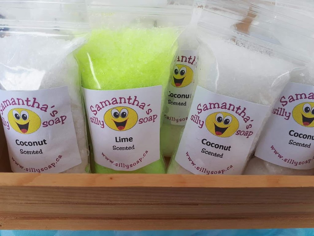 silly soap | 12617 203 St, Maple Ridge, BC V2X 4A1, Canada | Phone: (778) 235-5077