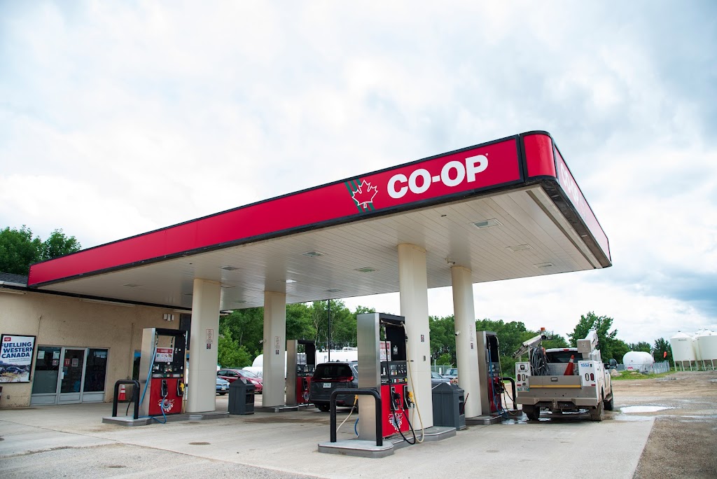 Homestead Co-op @ Austin Gas Bar | 66150 Tower Line Rd, Austin, MB R1N 3B3, Canada | Phone: (204) 637-3065