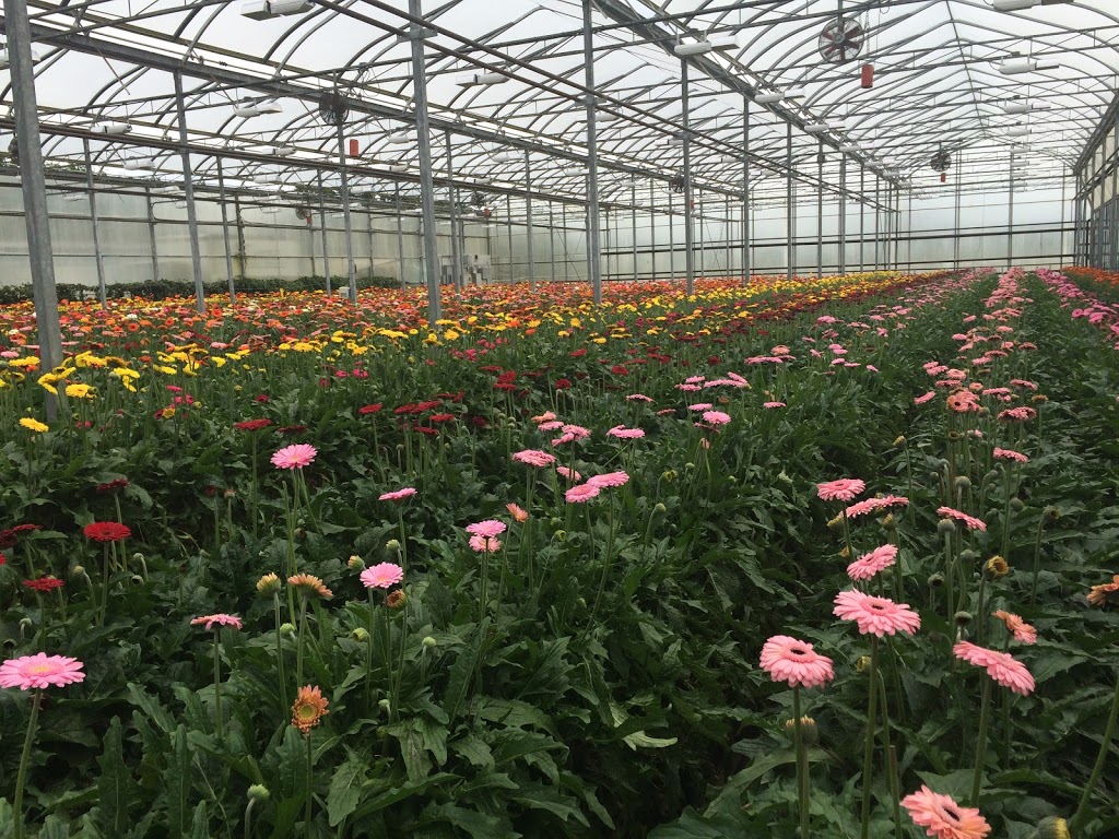 West Creek Farms Ltd | 25044 88 Ave, Langley City, BC V1M 3N9, Canada | Phone: (604) 888-3426