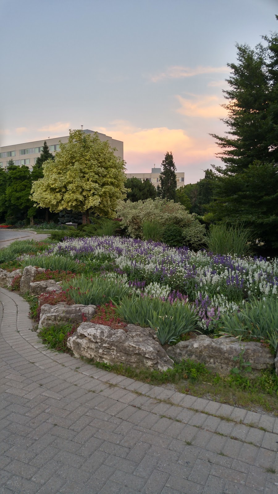 Humber Arboretum | 205 Humber College Blvd, Etobicoke, ON M9W 5L7, Canada | Phone: (416) 675-5009