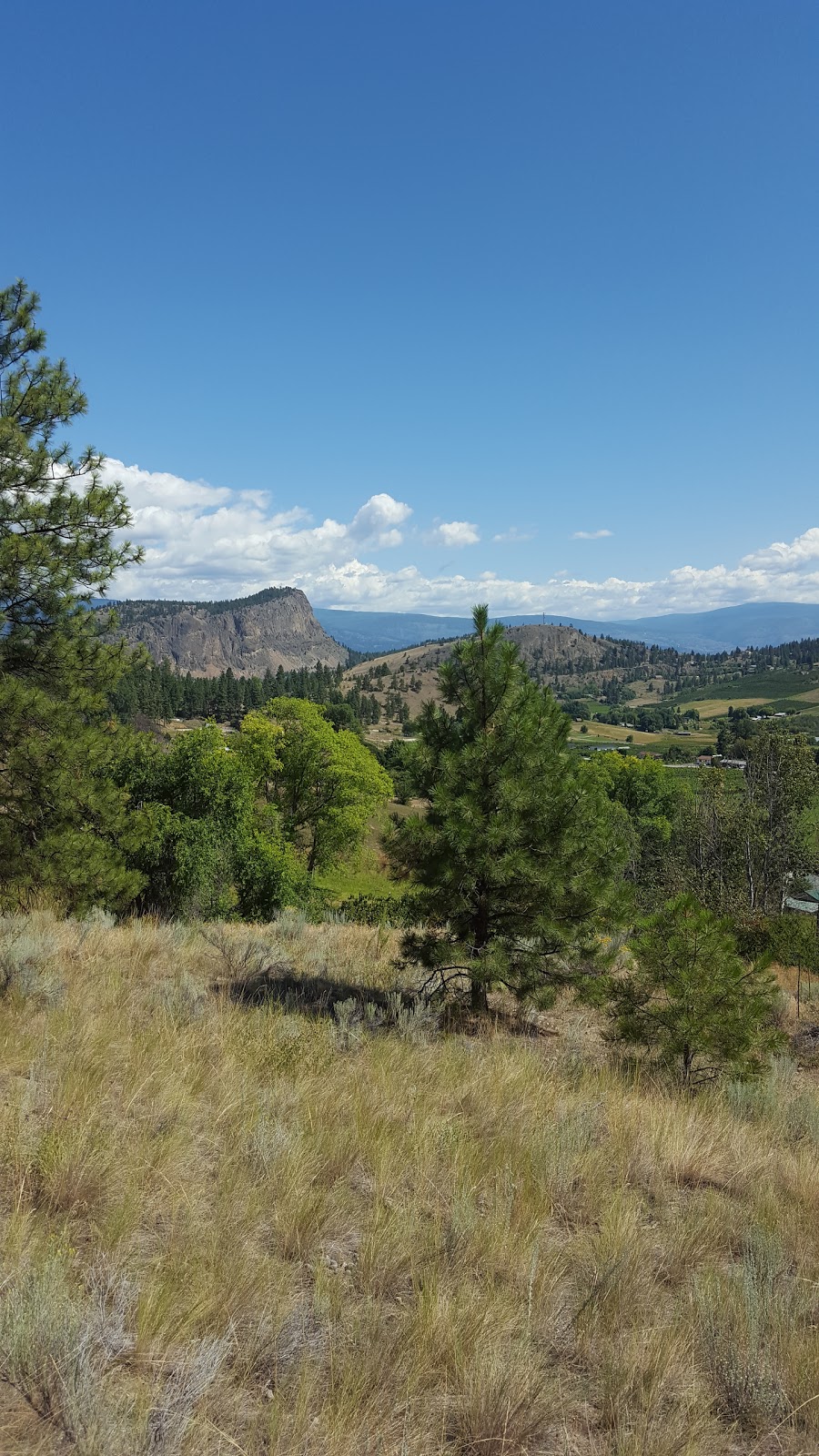 Red Barn Ranch | 15902 Prairie Valley Rd, Summerland, BC V0H 1Z8, Canada | Phone: (250) 494-8198