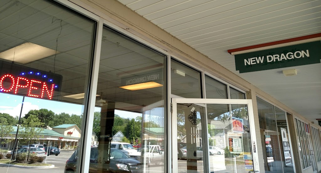 New Dragon | 140 Pine St, Hamburg, NY 14075, USA | Phone: (716) 312-0910