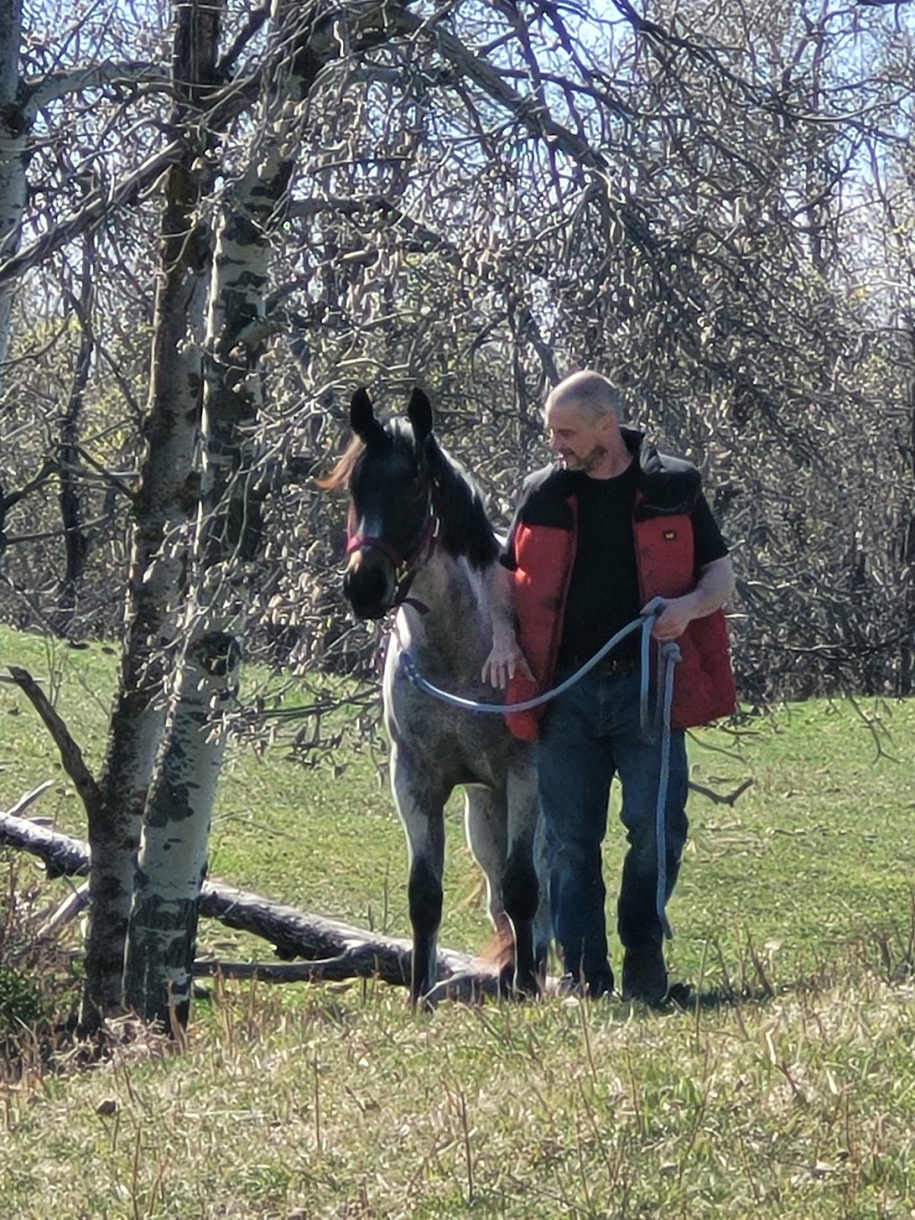 Sandridge Stables | 22335 Township Rd 520, Sherwood Park, AB T8C 1E2, Canada | Phone: (780) 922-7383