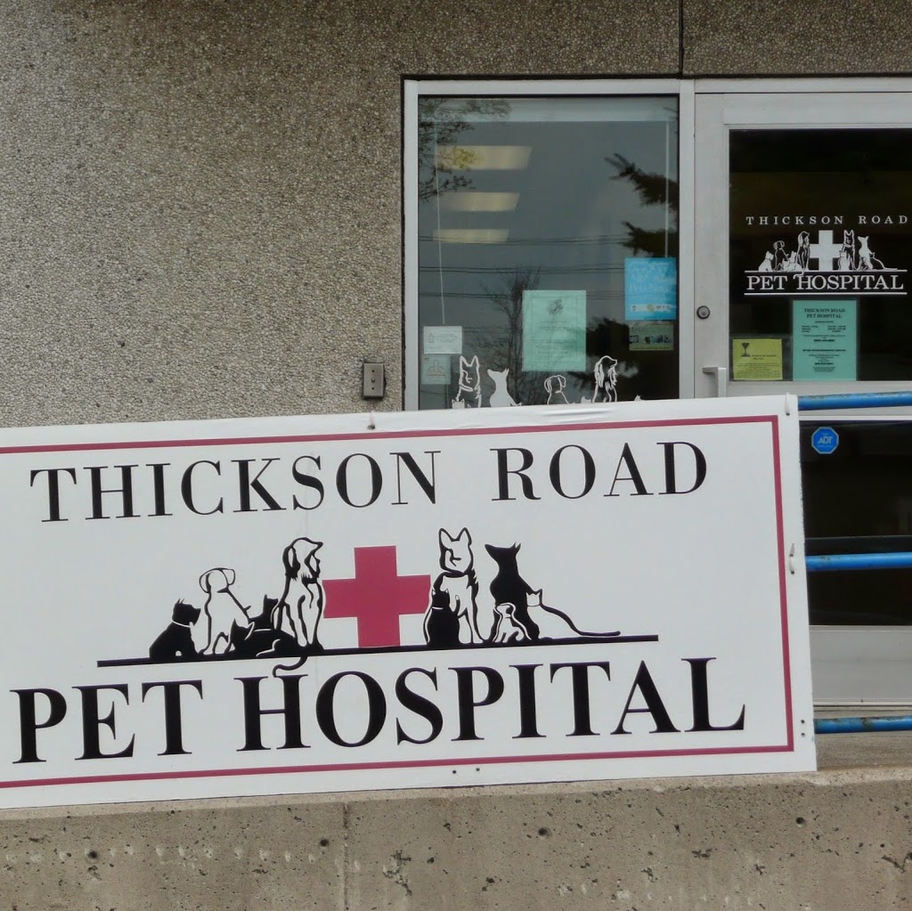 Thickson Road Pet Hospital | 1650 Victoria St E, Whitby, ON L1N 9L4, Canada | Phone: (905) 434-2885