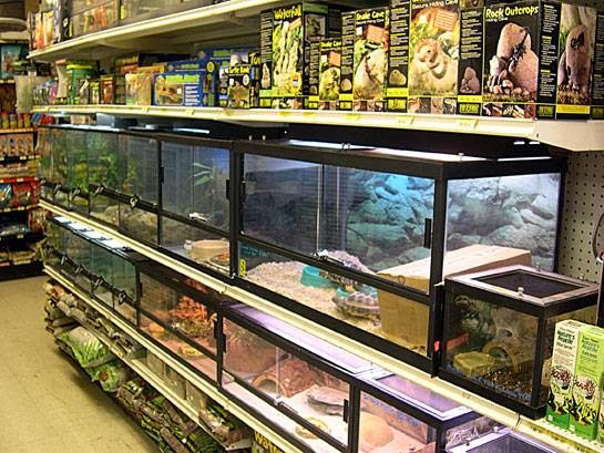 Anchor Bay Aquarium | 36457 Alfred St, New Baltimore, MI 48047, USA | Phone: (586) 725-1383
