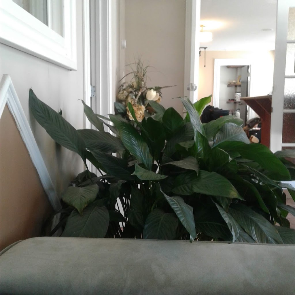 The Rosewood Hair & Spa | 130 Solutions Dr, Halifax, NS B3S 0B8, Canada | Phone: (902) 443-0732