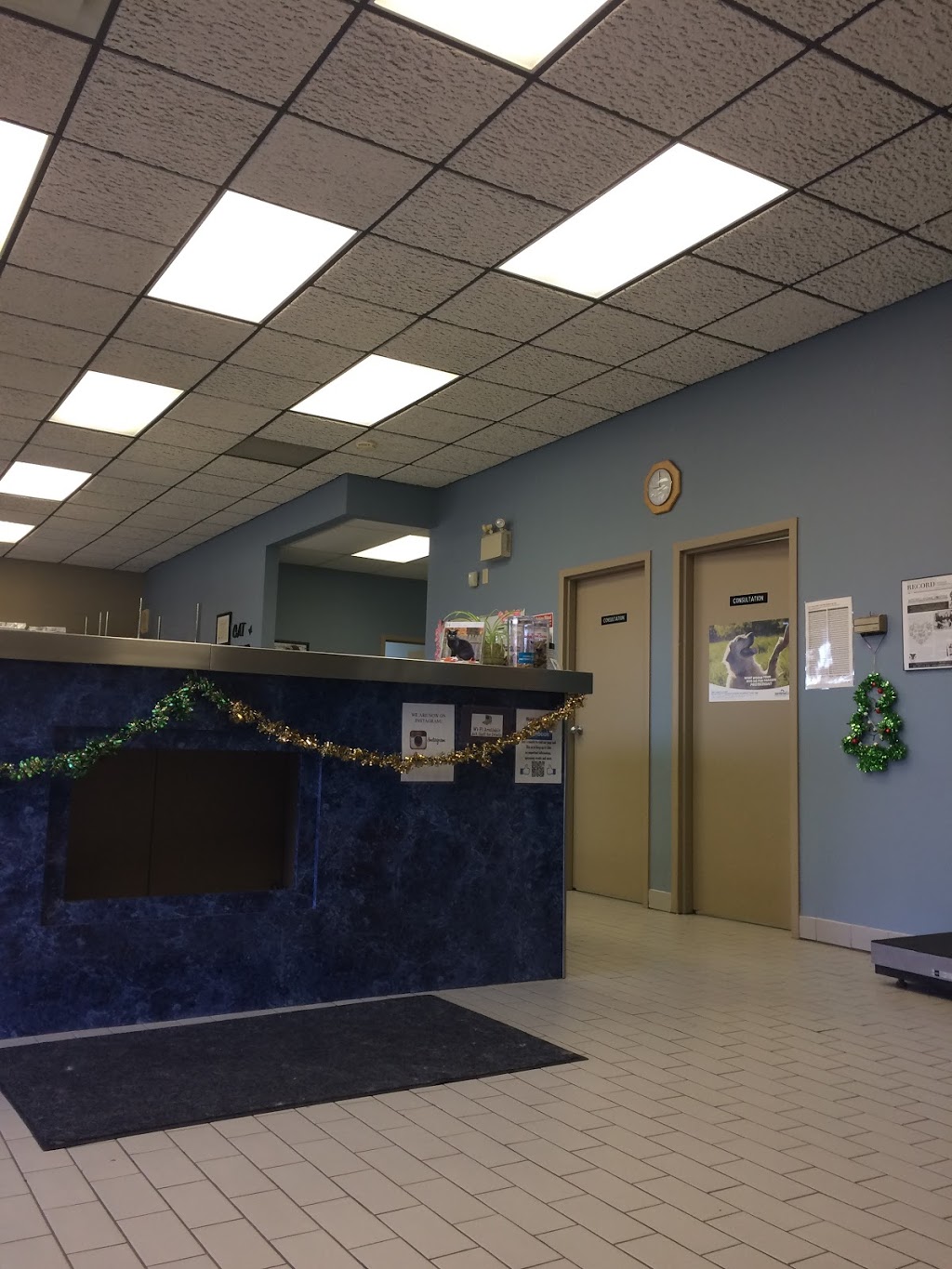Mitchell Animal Hospital | 408 Gage Ave, Kitchener, ON N2M 5C9, Canada | Phone: (519) 743-1322