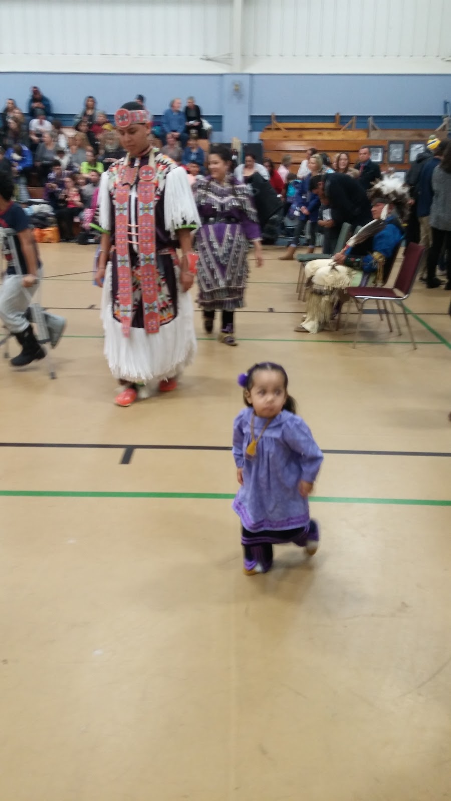 Fort Erie Native Friendship Centre | 796 Buffalo Rd, Fort Erie, ON L2A 5H2, Canada | Phone: (905) 871-8931