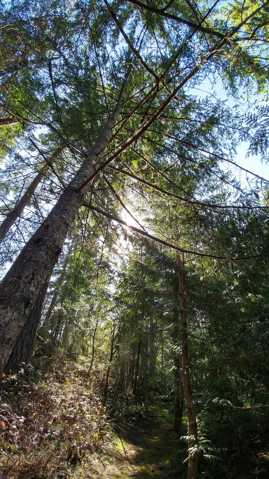 Melrose Park | Melrose Cres, Cobble Hill, BC V0R 1L6, Canada | Phone: (250) 746-2620