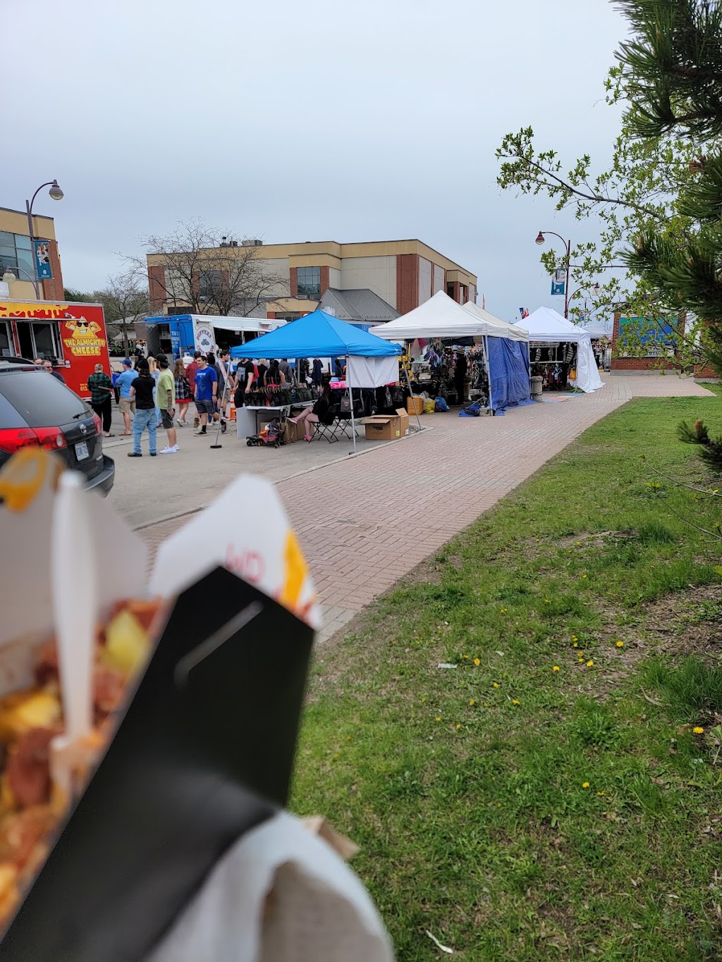 Duffers Chip Wagon | 45 Victoria St S, Tweed, ON K0K 3J0, Canada | Phone: (613) 477-3142
