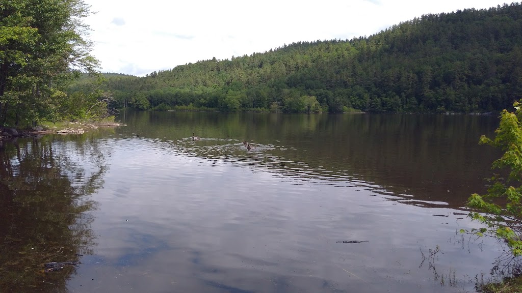 Algonquin Canoe Company - Swisha | 228 Rue Principale, Rapides-des-Joachims, QC J0X 3M0, Canada | Phone: (613) 586-2655