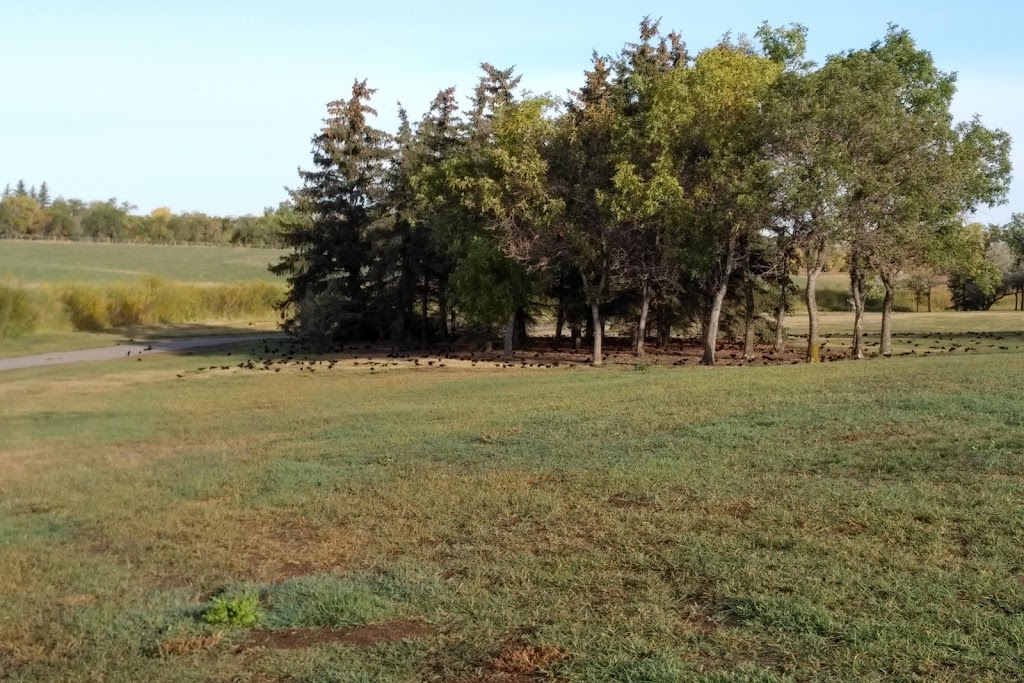 Selinger Park | 3366 Edinburgh Dr, Regina, SK S4V 2V2, Canada