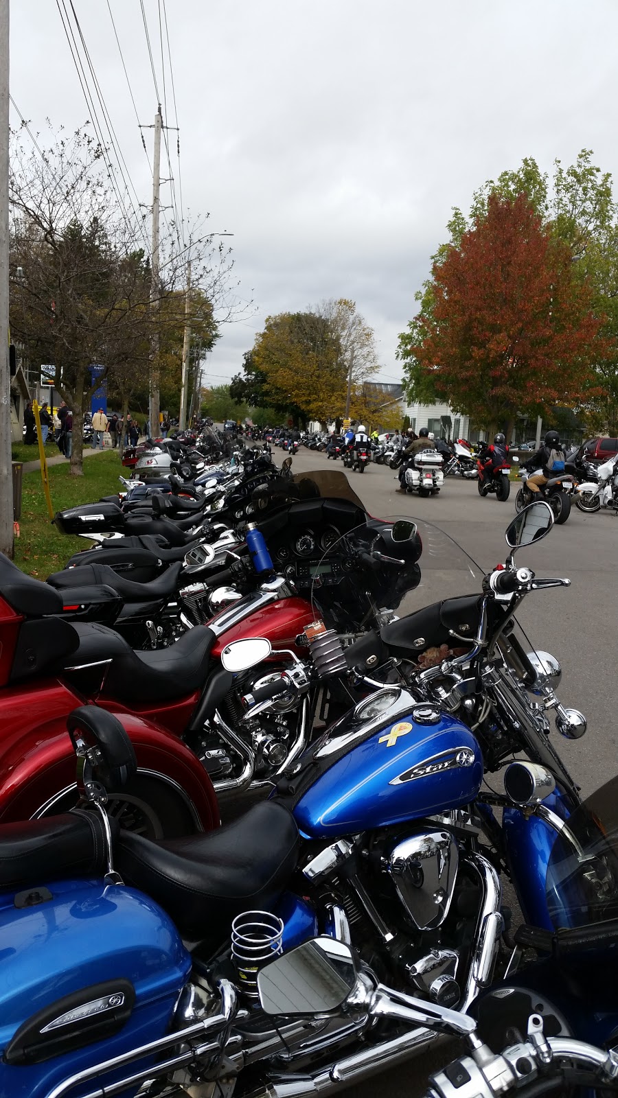 Port Dover Summer Festivals [Art in the Park] | 19 Market St E, Port Dover, ON N0A 1N0, Canada | Phone: (888) 392-4308